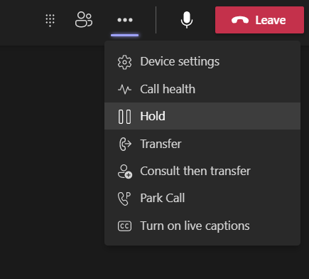 Teams-hold option during call